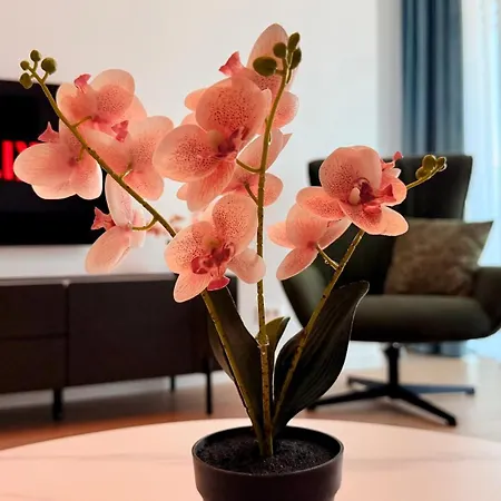 Апартаменти Luxury One Bedroom With Balcony And Pool Access In Exclusive Up-site *