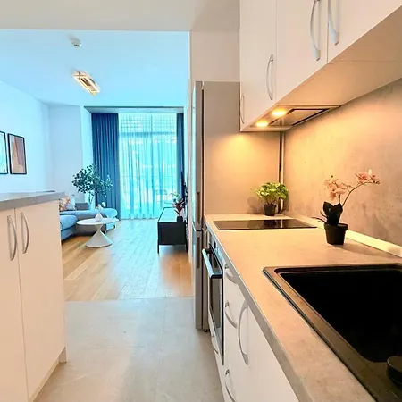 아파트 Luxury One Bedroom With Balcony And Pool Access In Exclusive Up-site 부쿠레슈티